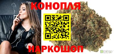 a pvp Свободный